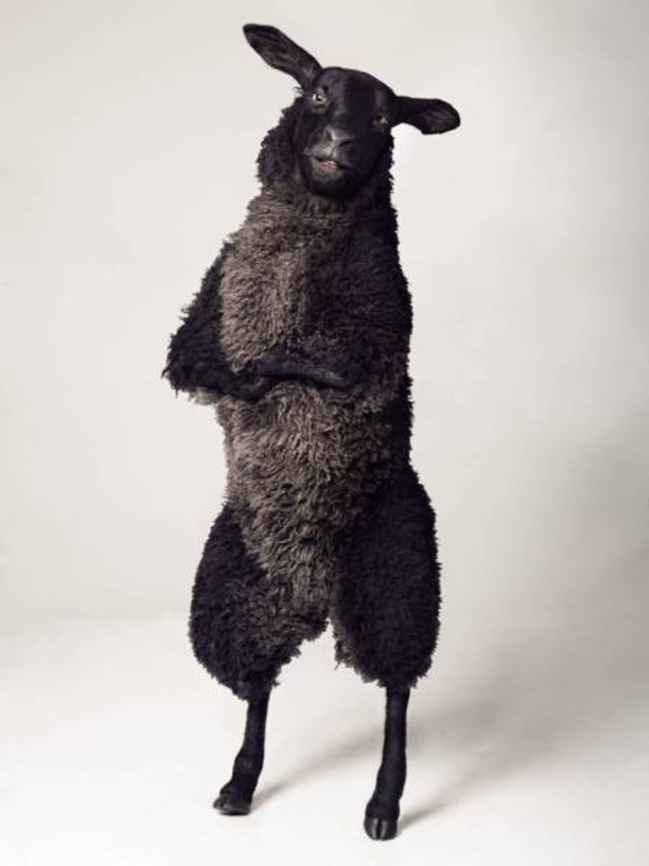 Krav på kortare bindningstider för mobil- och internet-abonnemang