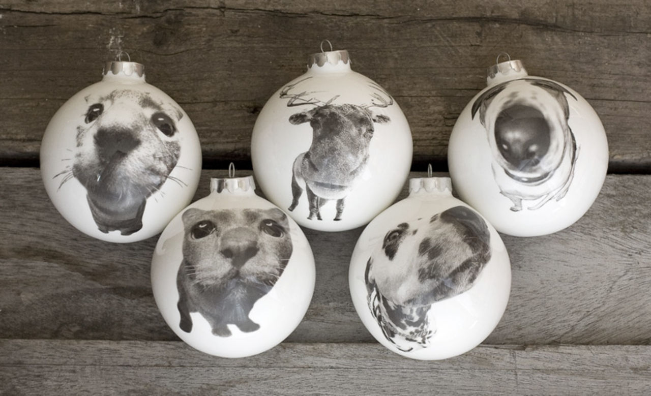 Låt granen bära hundhuvudet