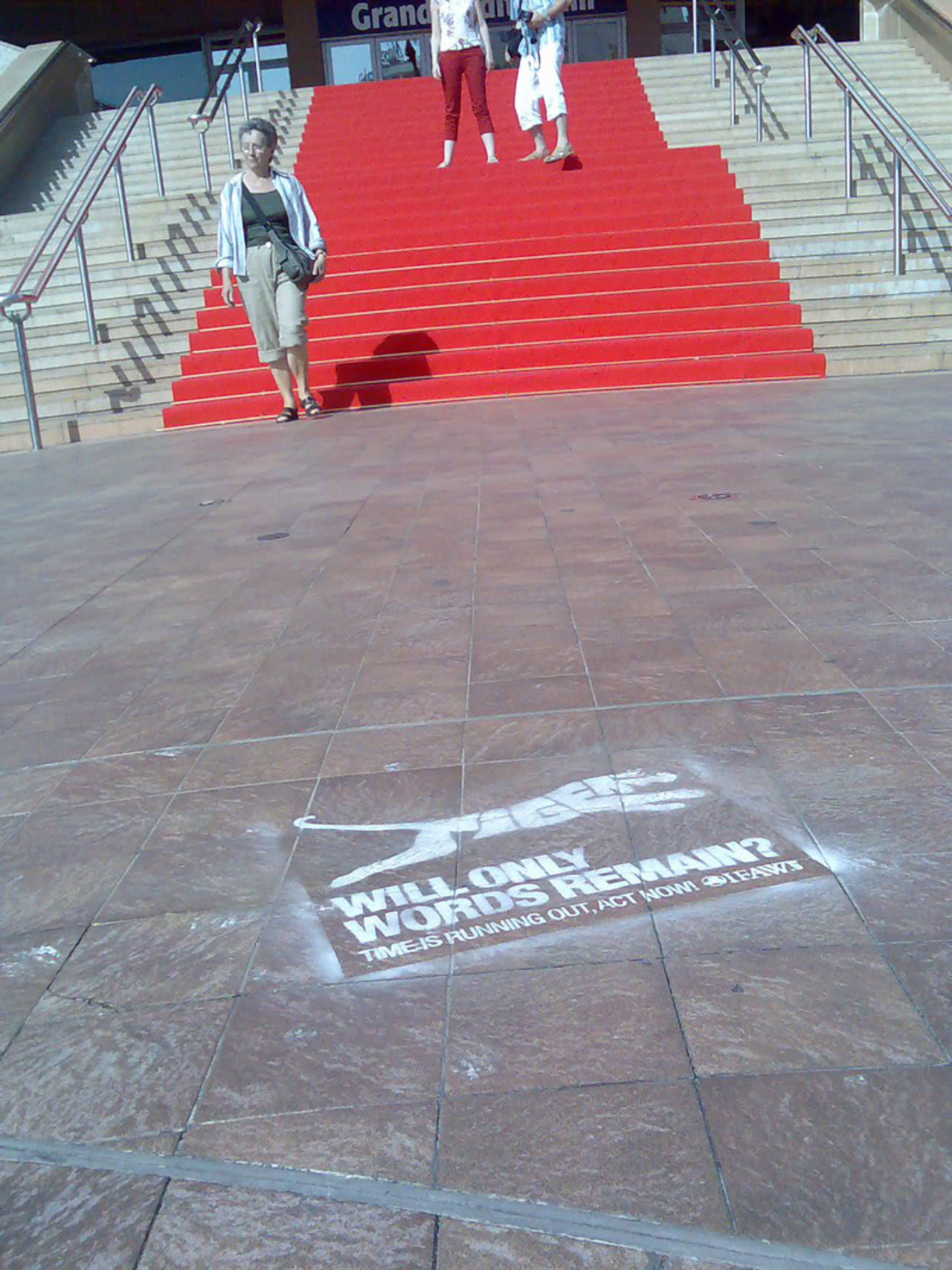IFAW i Cannes