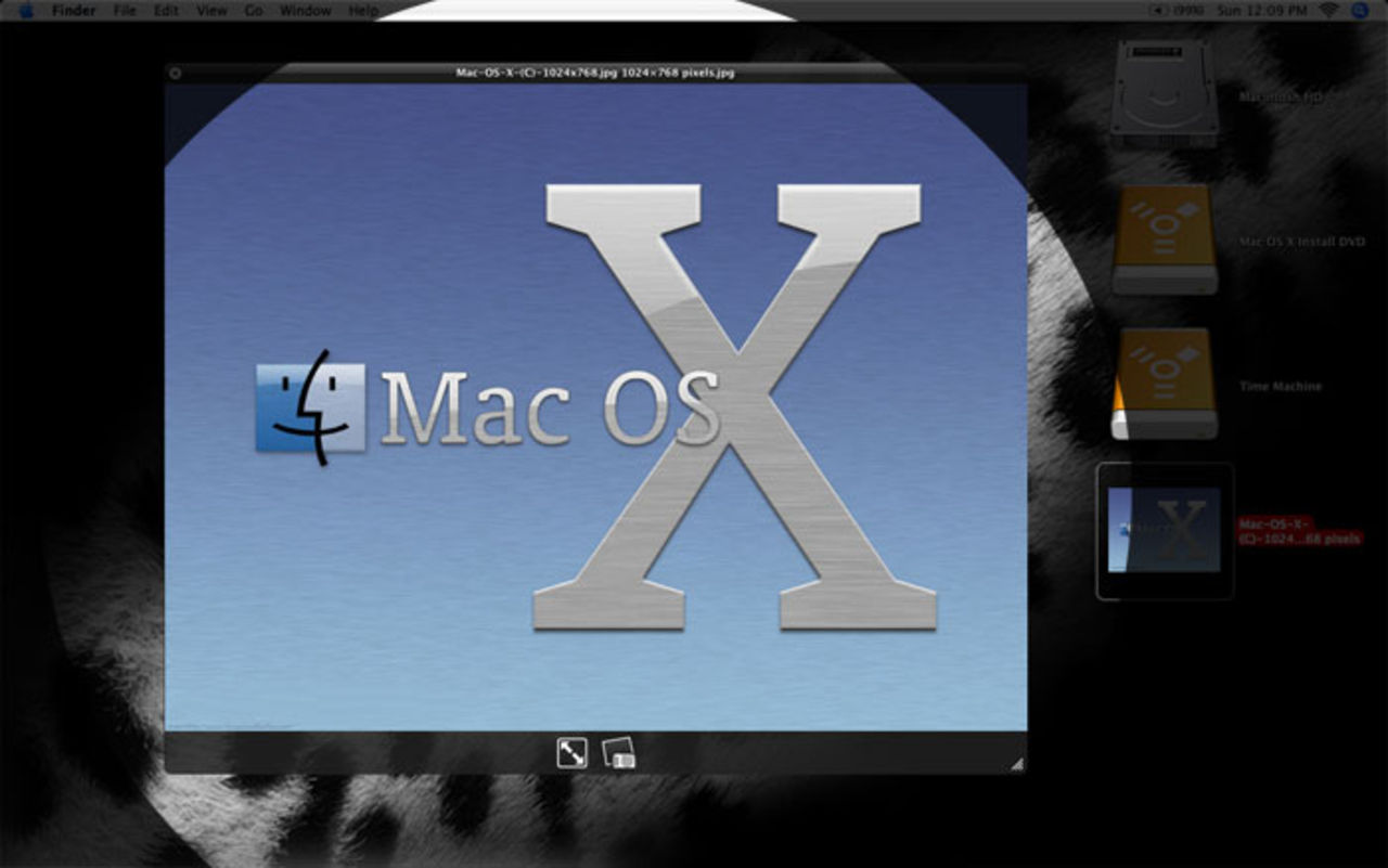 Fler godbitar från leoparden