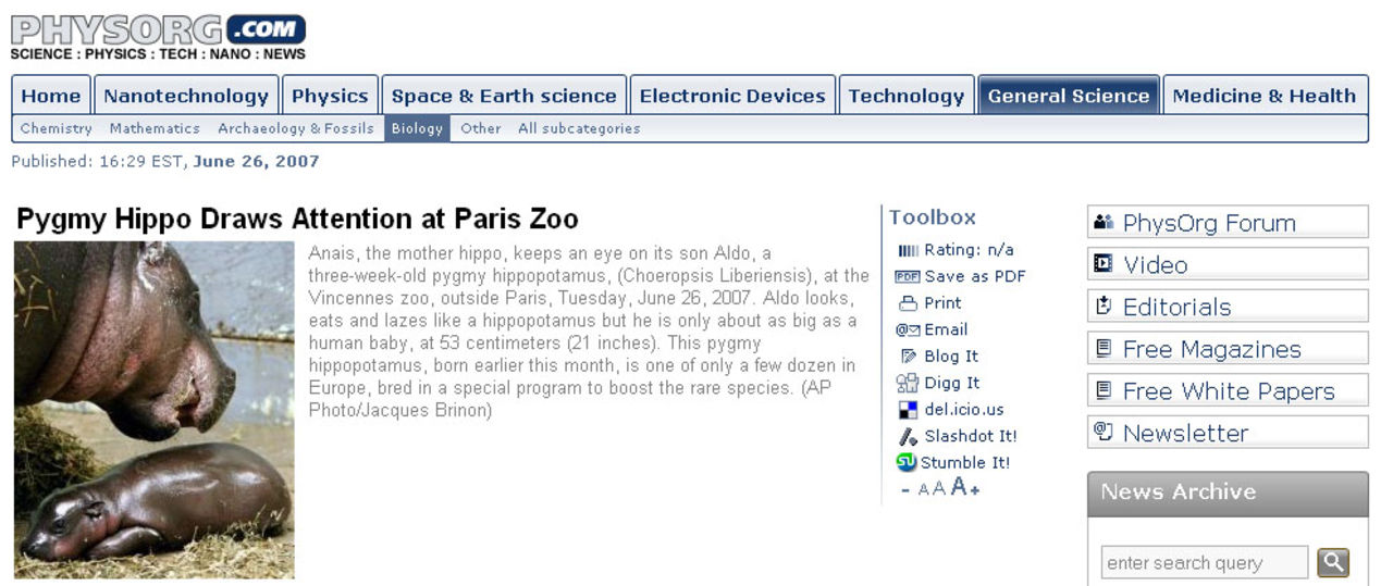 Miniflodhäst född på Paris Zoo