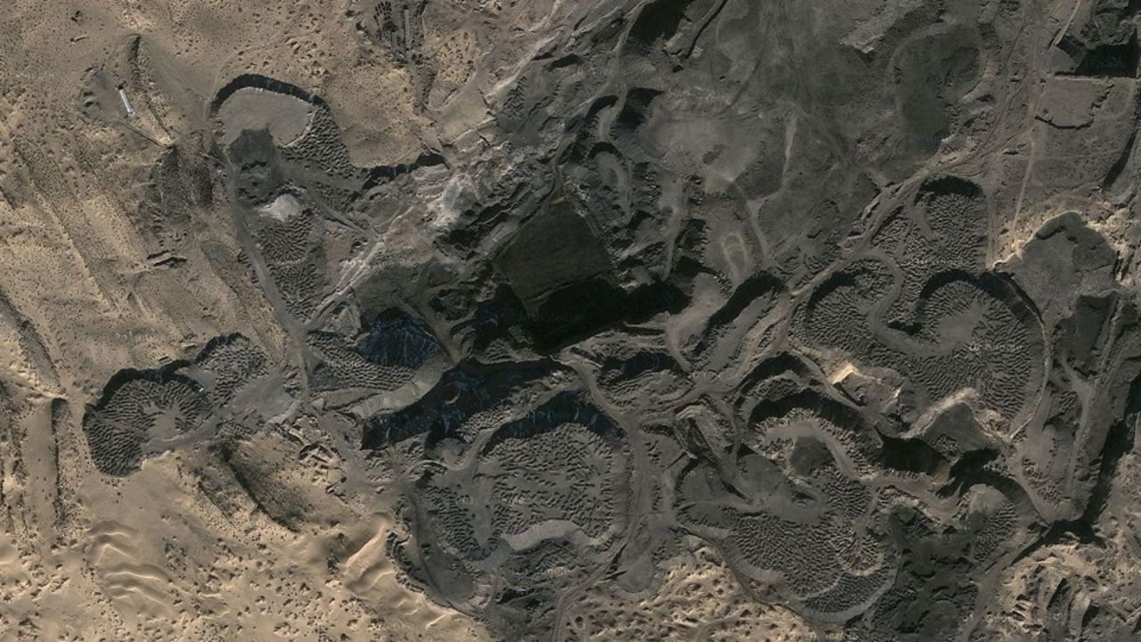 Bilder på förlorade skogen