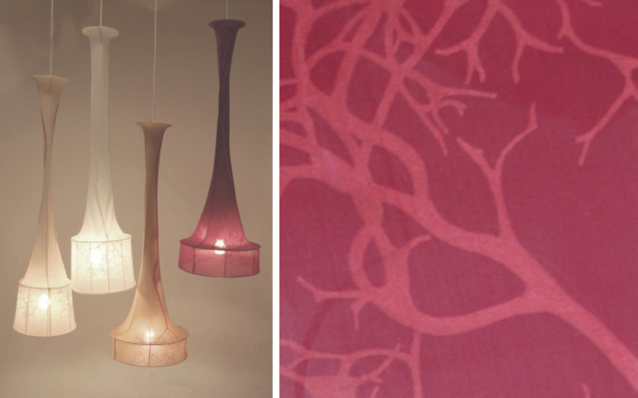 Kolla in Beckman-elevernas portfolios