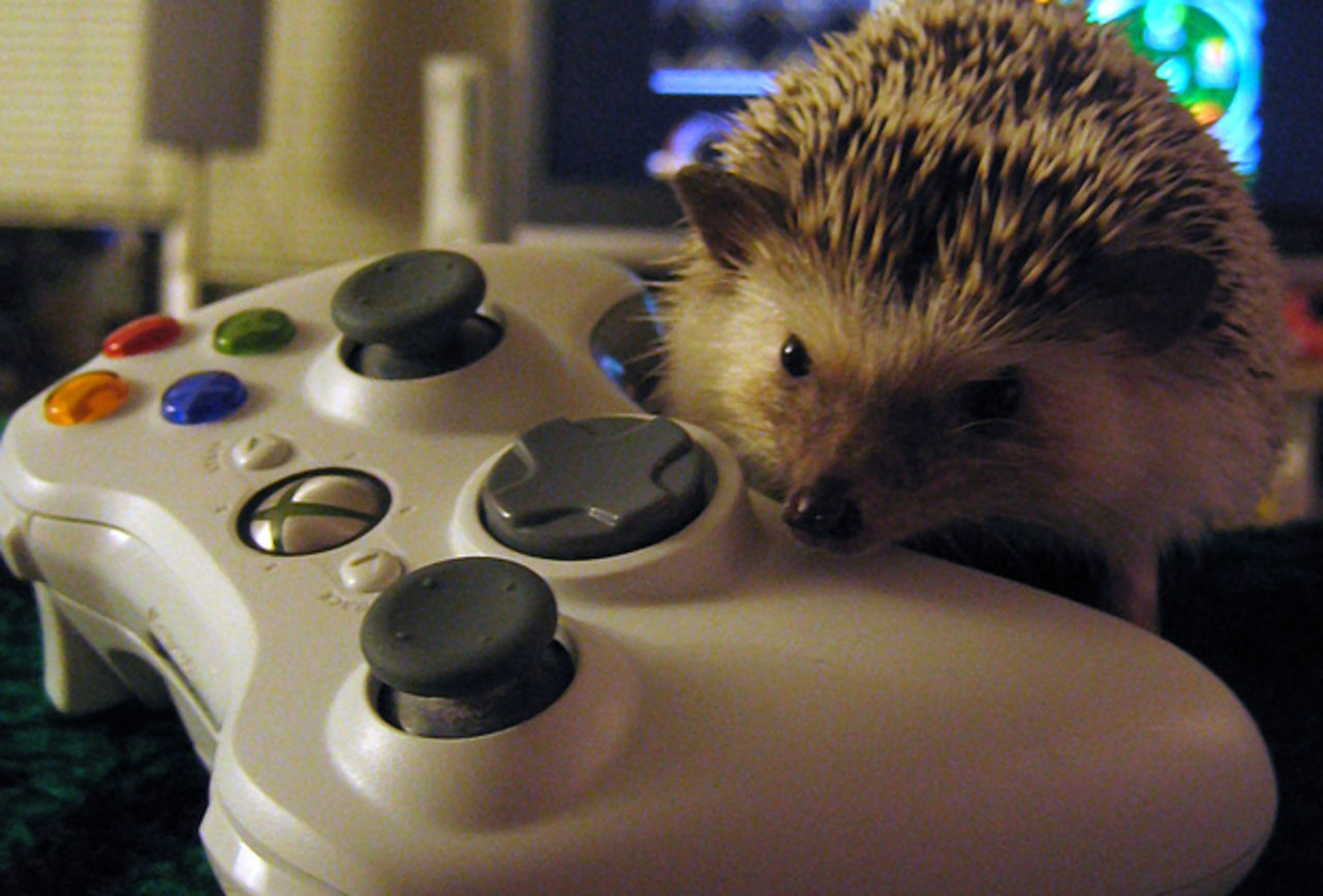 Underhållning gick om onlinespelande