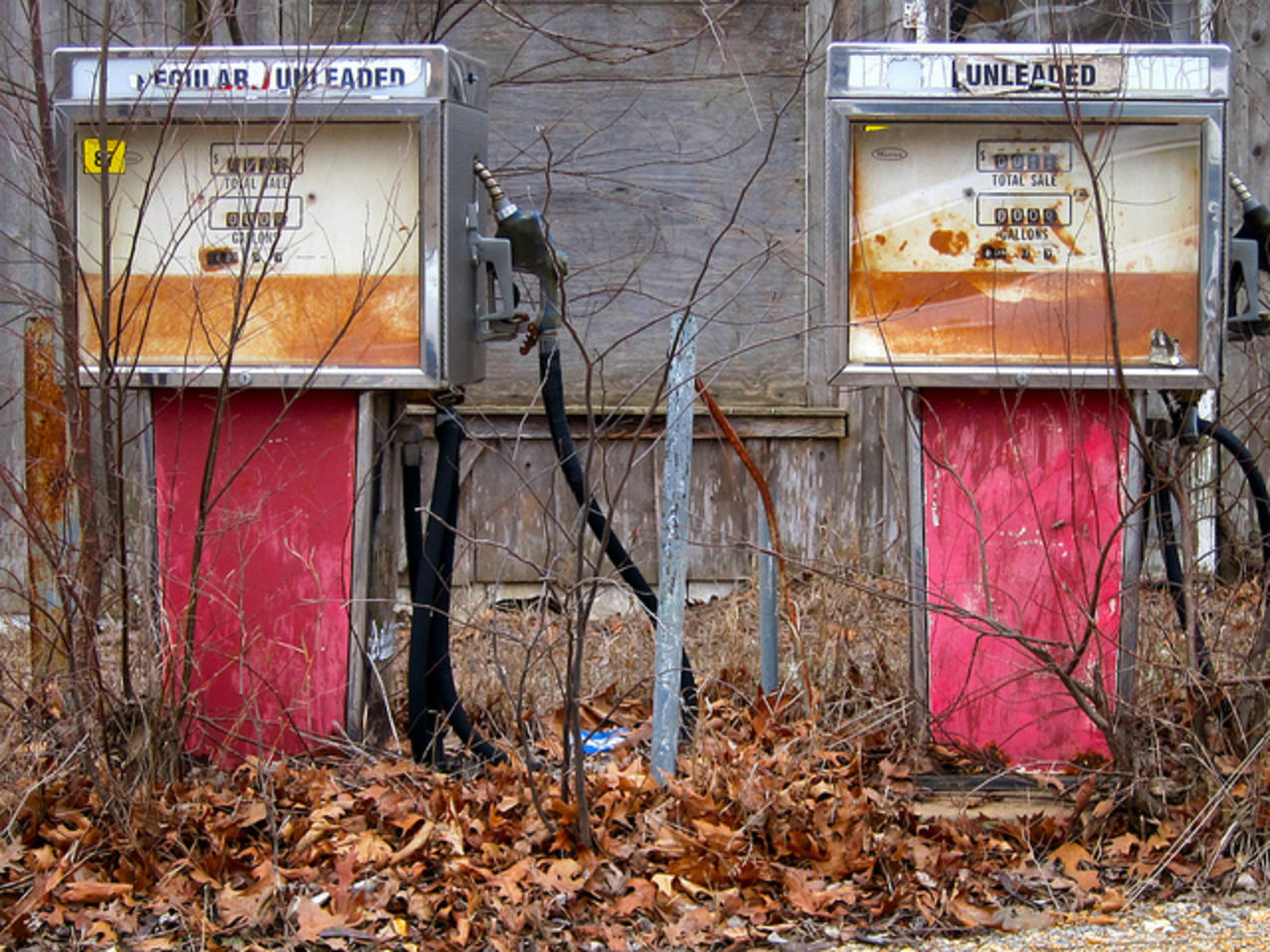 Sugen på billig soppa?