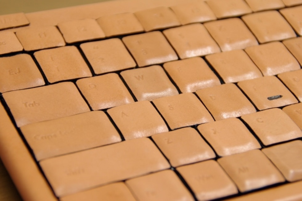 Honkawa 2 från Atelier Wazakura