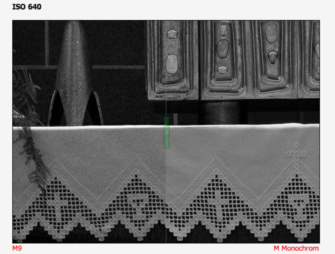 Leica M9 vs. Leica M Monochrome