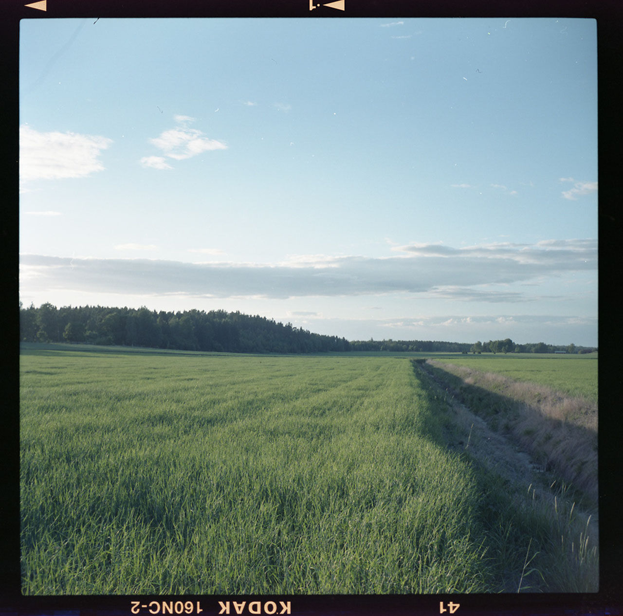 Smart knep för jämnare exponerade naturbilder