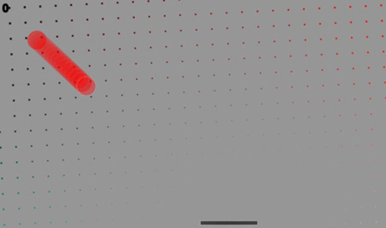 Söndagsnöje: Tilt Scream Pong