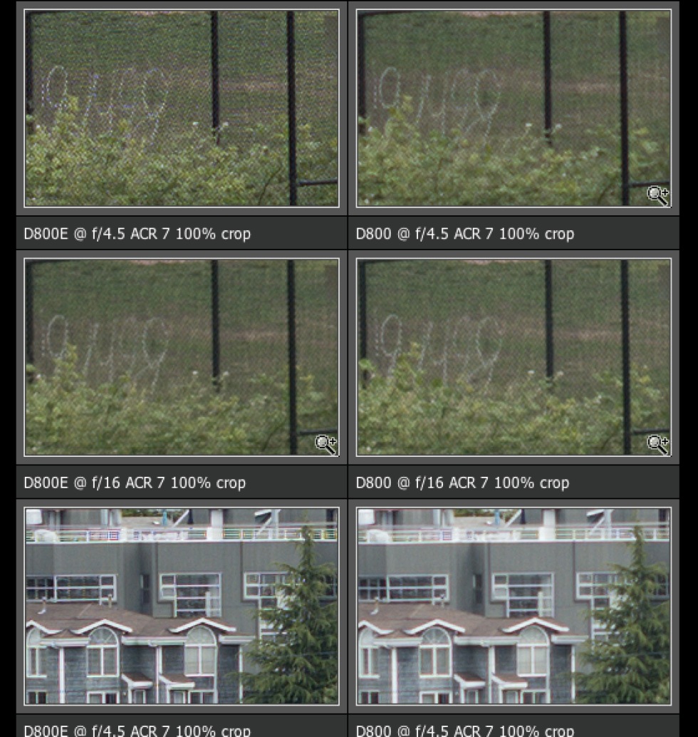 Nikon D800 vs. D800E. Testbilder sida vid sida | Feber / Foto