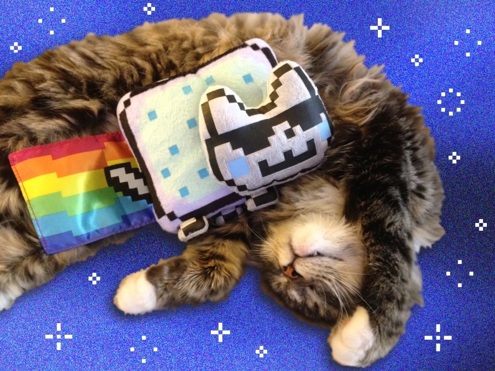 Nu kommer mysprylarna med Nyan Cat