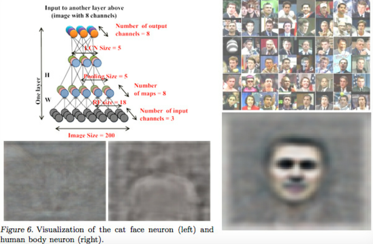 Google X skapar självlärande datornätverk