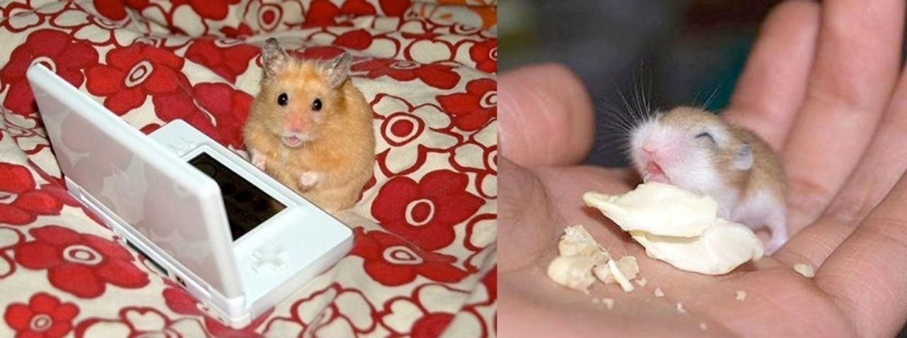 Veckans snabblänkar