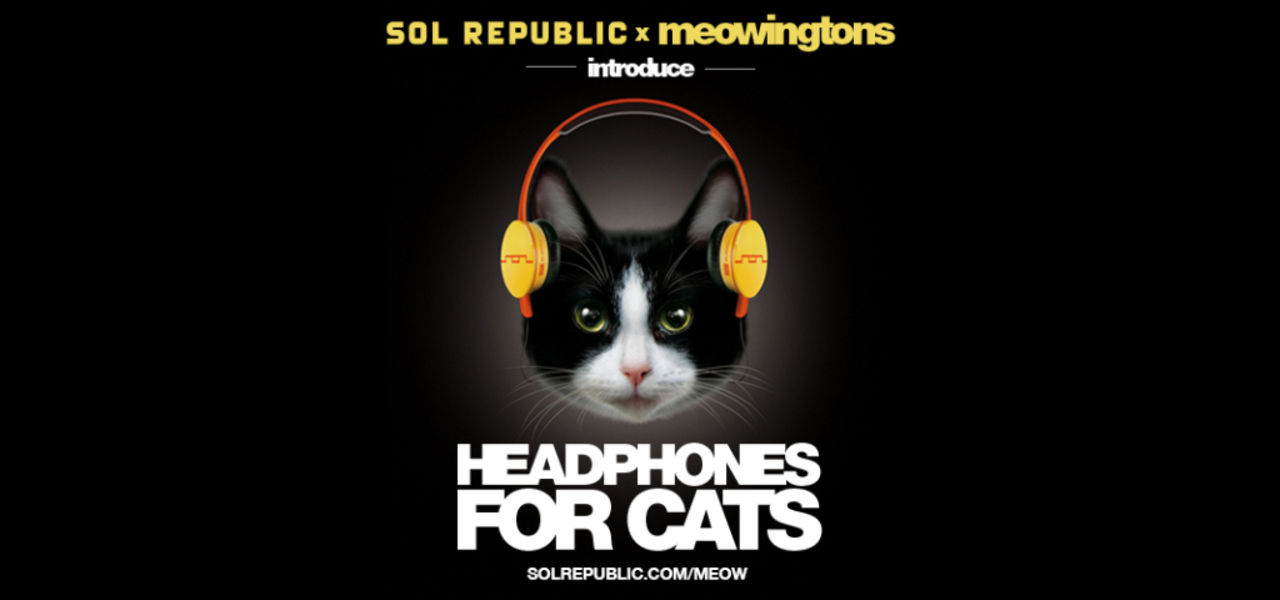 Sol Republic släpper hörlurar för katter