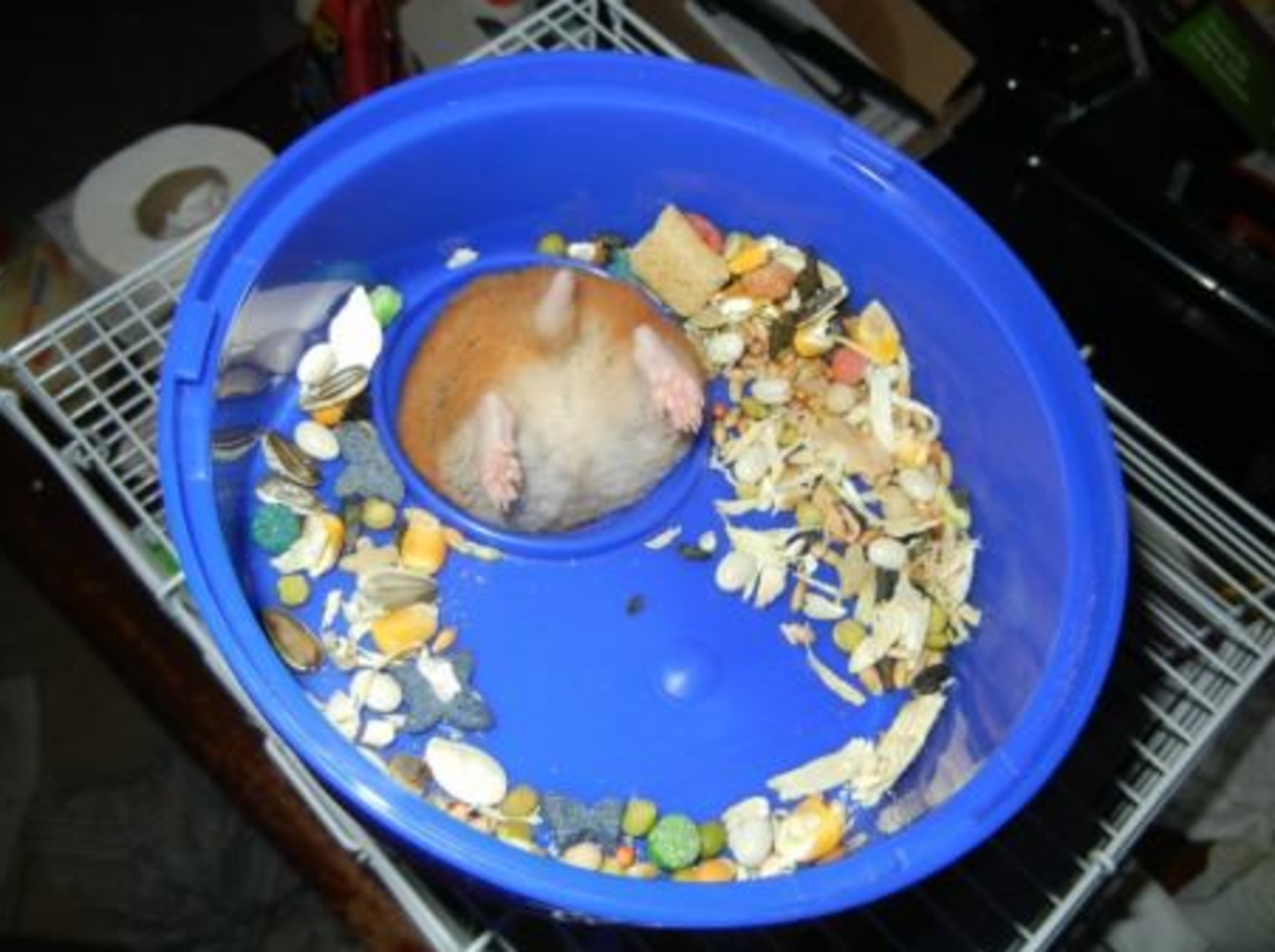 Veckans snabblänkar