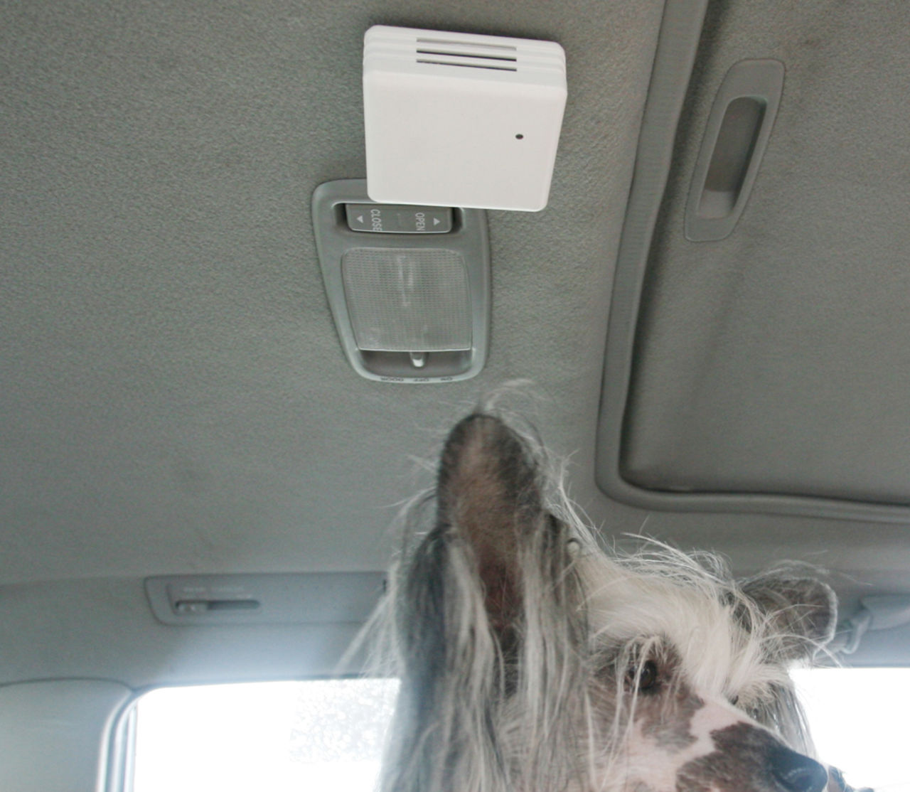 KoolDog varnar när det blir för varmt för hunden i bilen