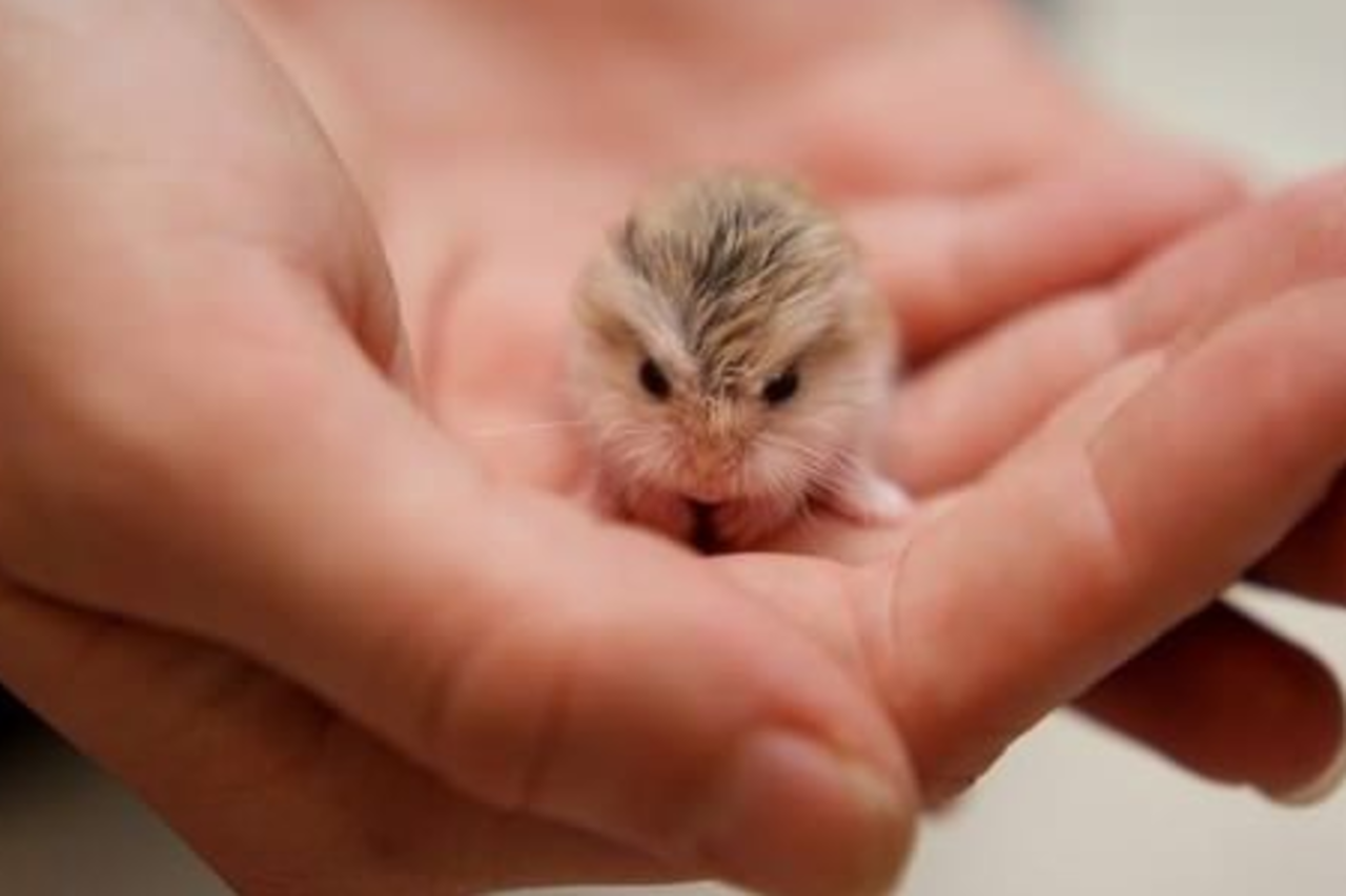 Veckans snabblänkar