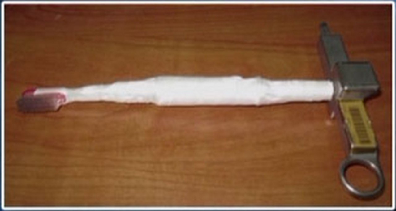 Astronauter lagade ISS med en tandborste