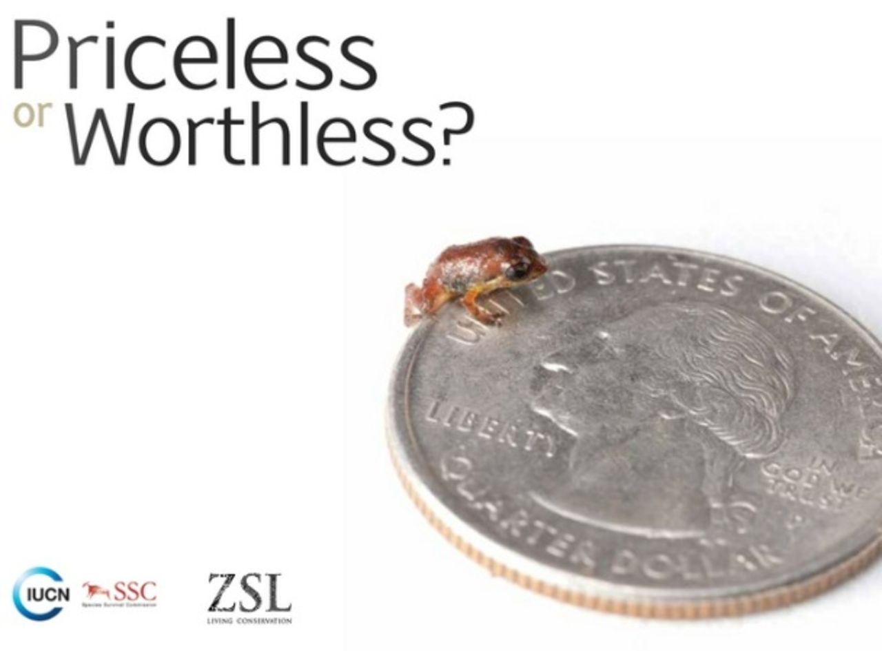 Världens 100 mest hotade arter