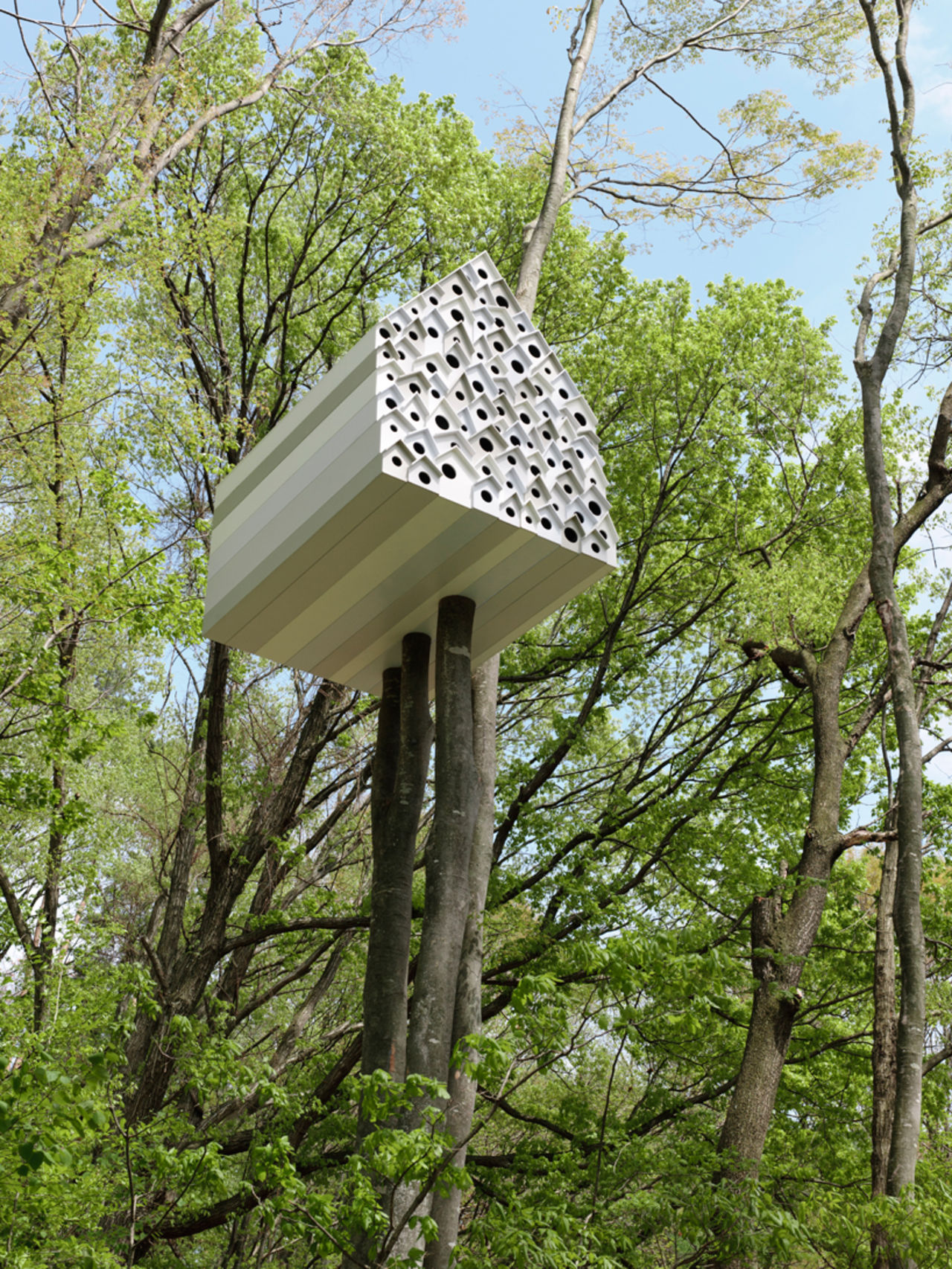 78 fågelholkar och en koja