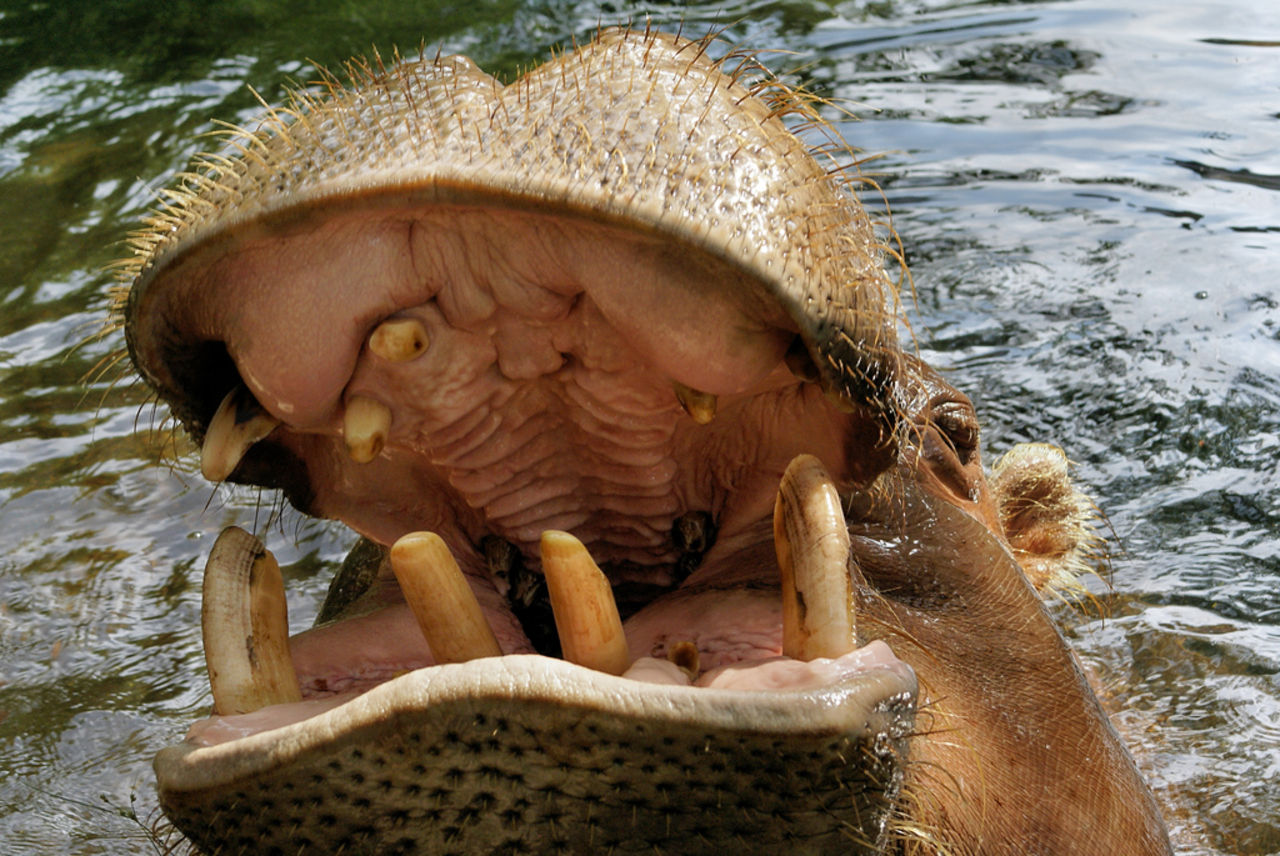 Konstgjord emalj på väg