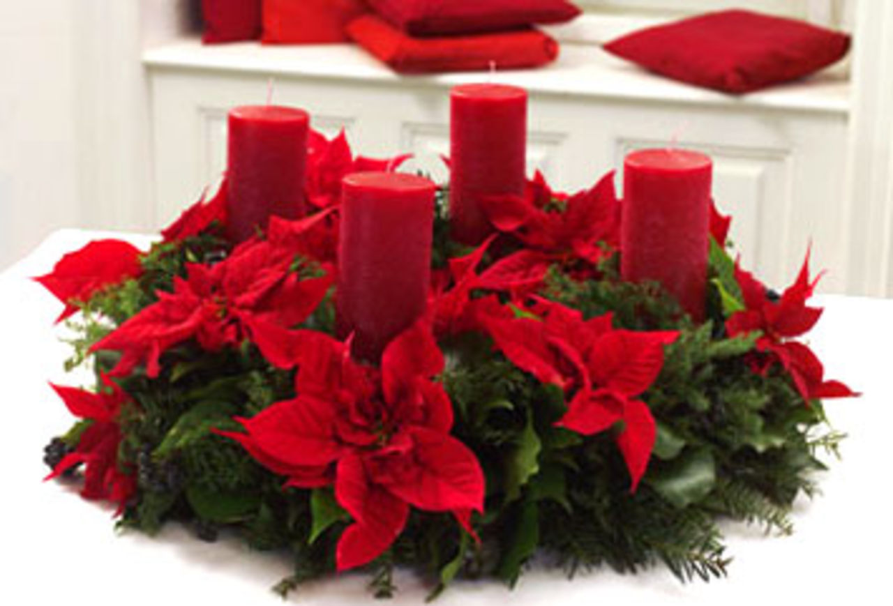 Snygga dekorationer med Julstjärnor