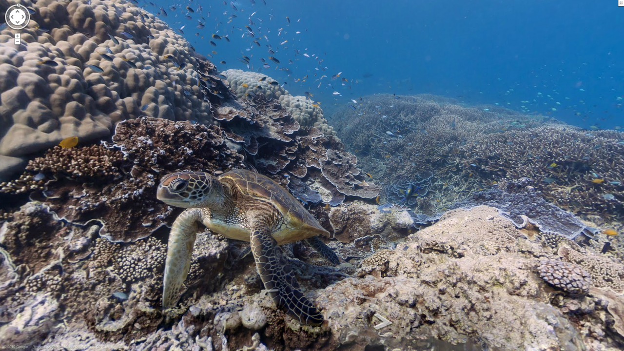 Google Street View finns nu under vattnet