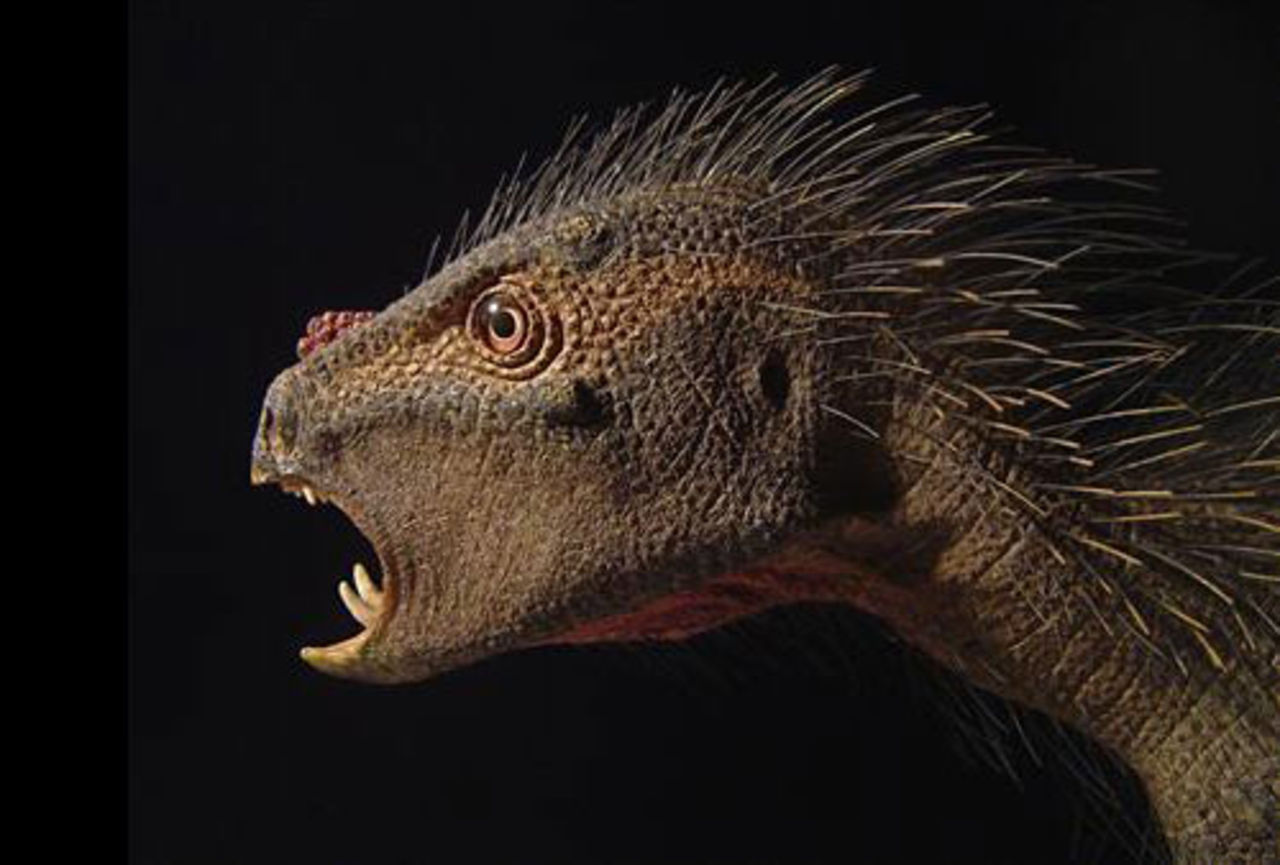 Ny pytte-dinosaurie upptäckt i Afrika