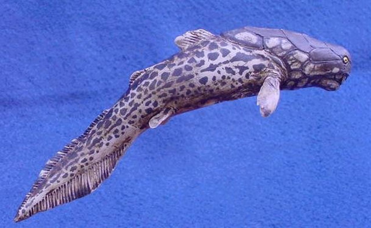 Dagens förhistoriska djur: Dunkleosteus