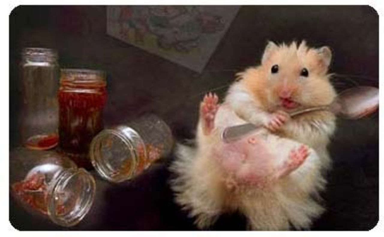 Veckans snabblänkar