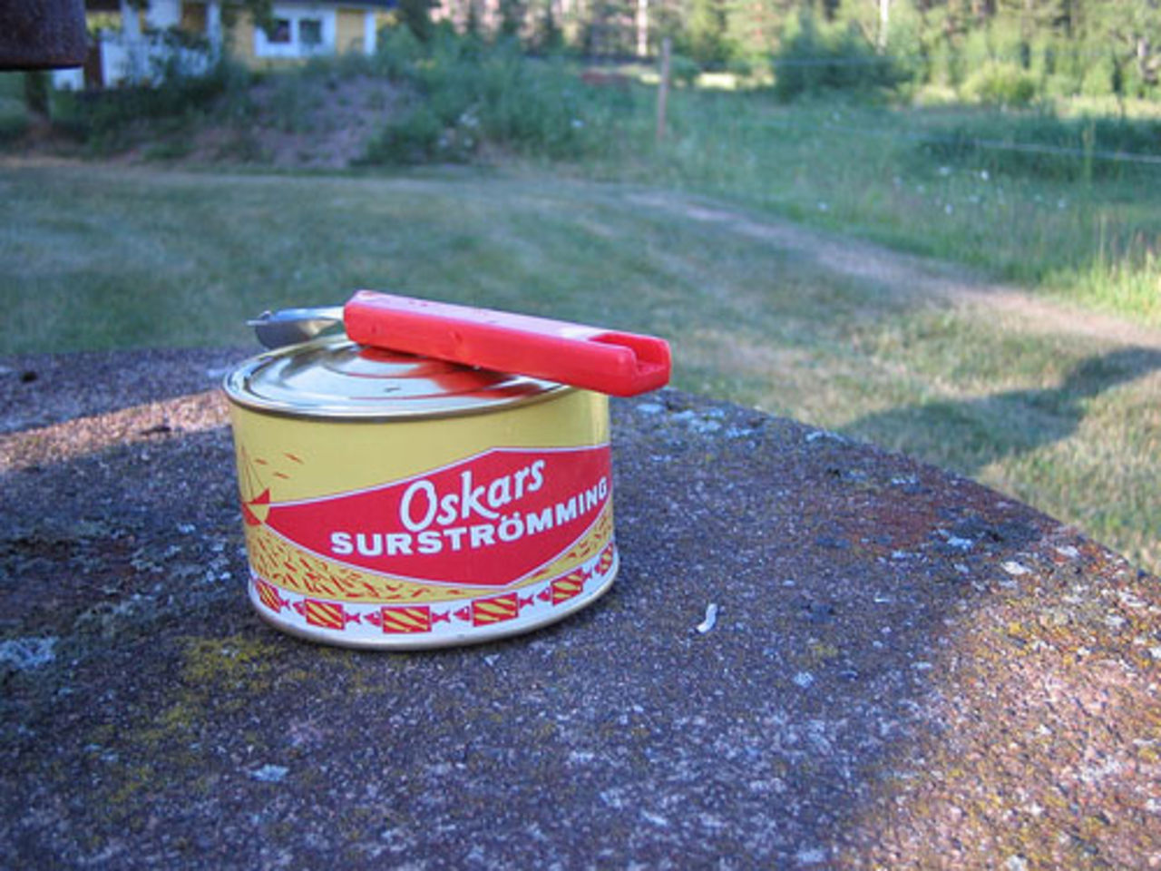 Surströmmingspremiär!