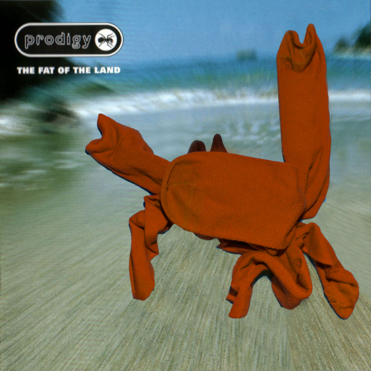 Famous album covers recreated with my socks