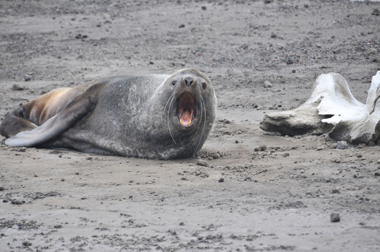 Forskare får mer hopp för liv på andra planeter