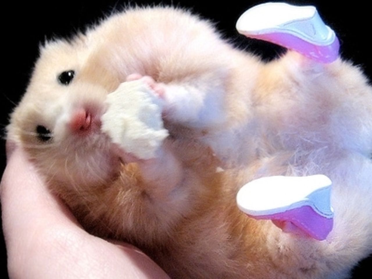 Veckans snabblänkar