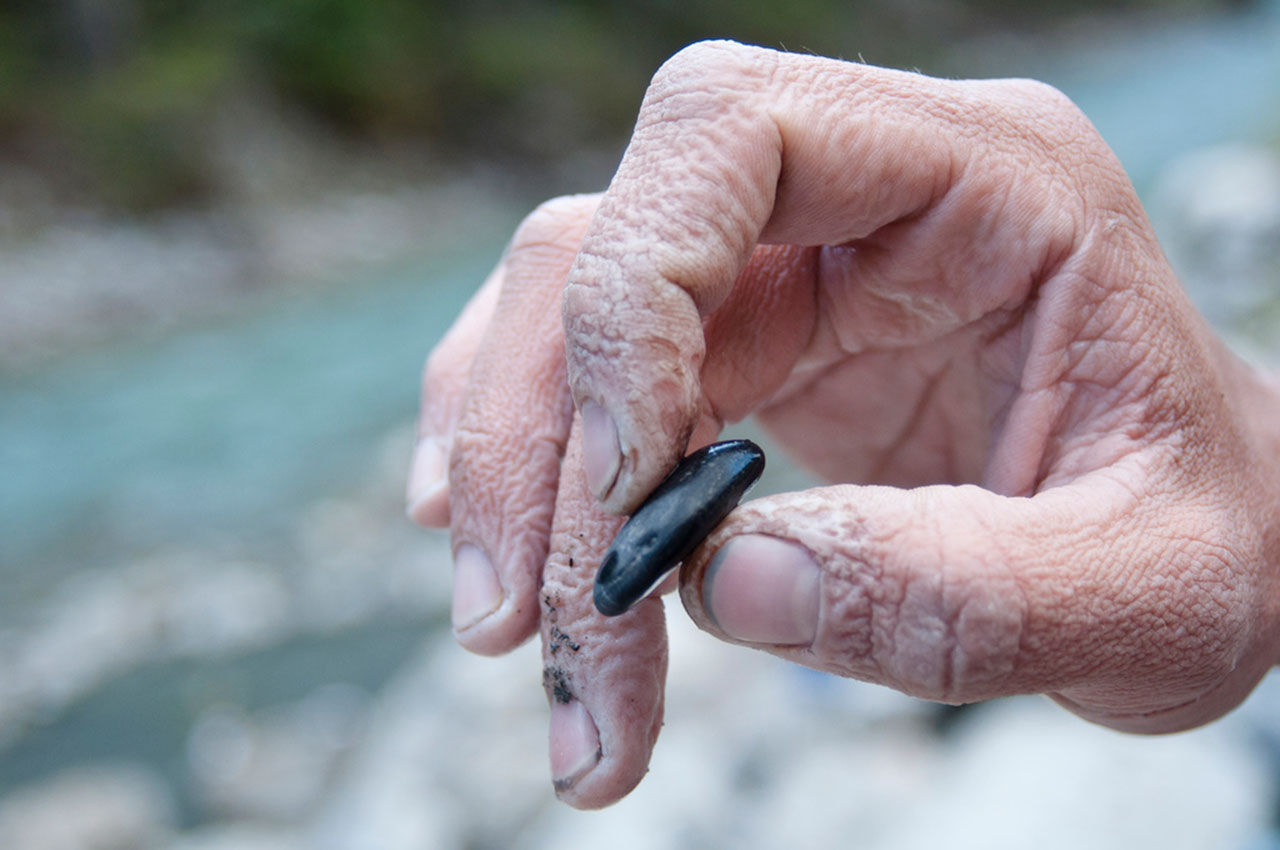 Därför blir våra fingrar skrynkliga i vatten