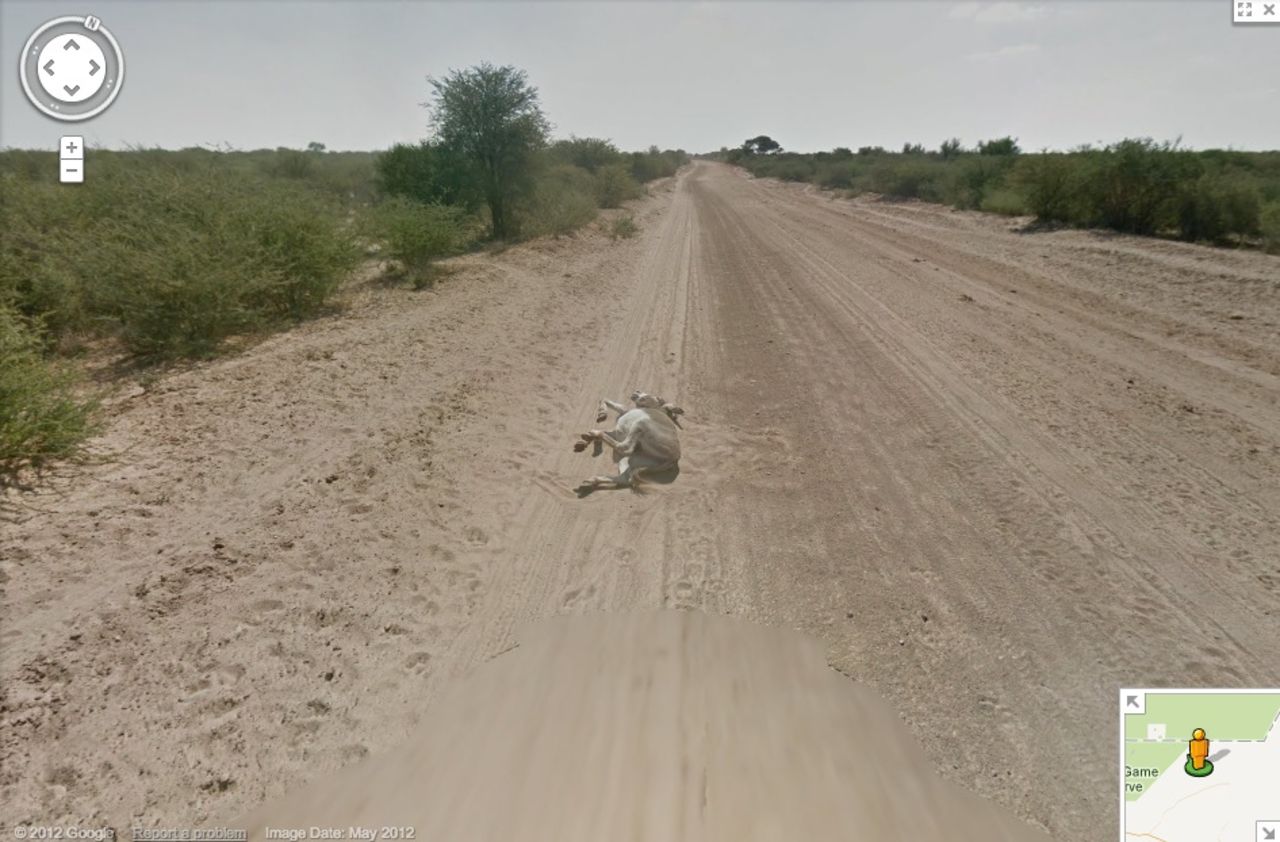 Död åsna hittat på Google Maps
