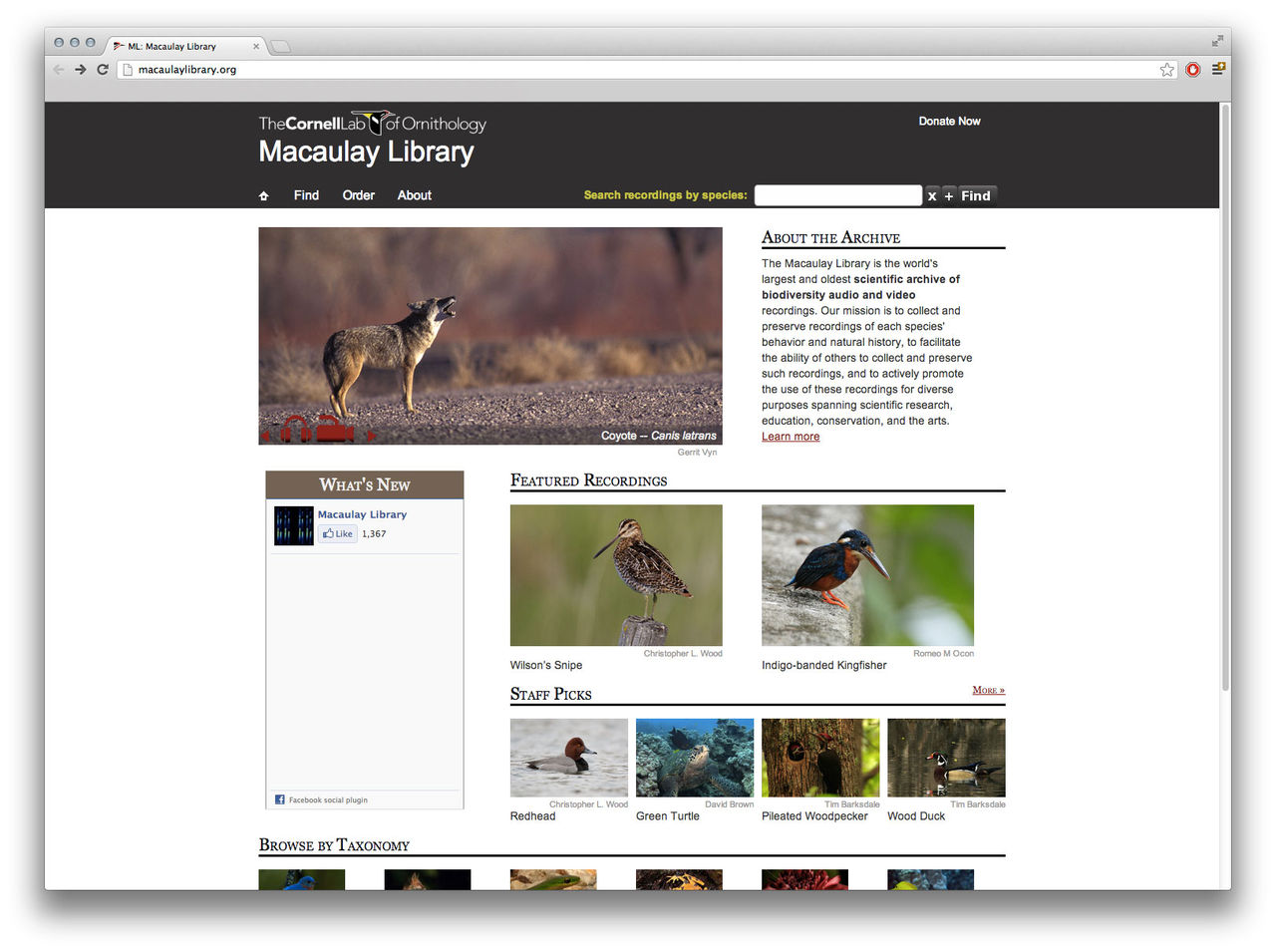 Här kan du lyssna på 150 000 olika djurljud