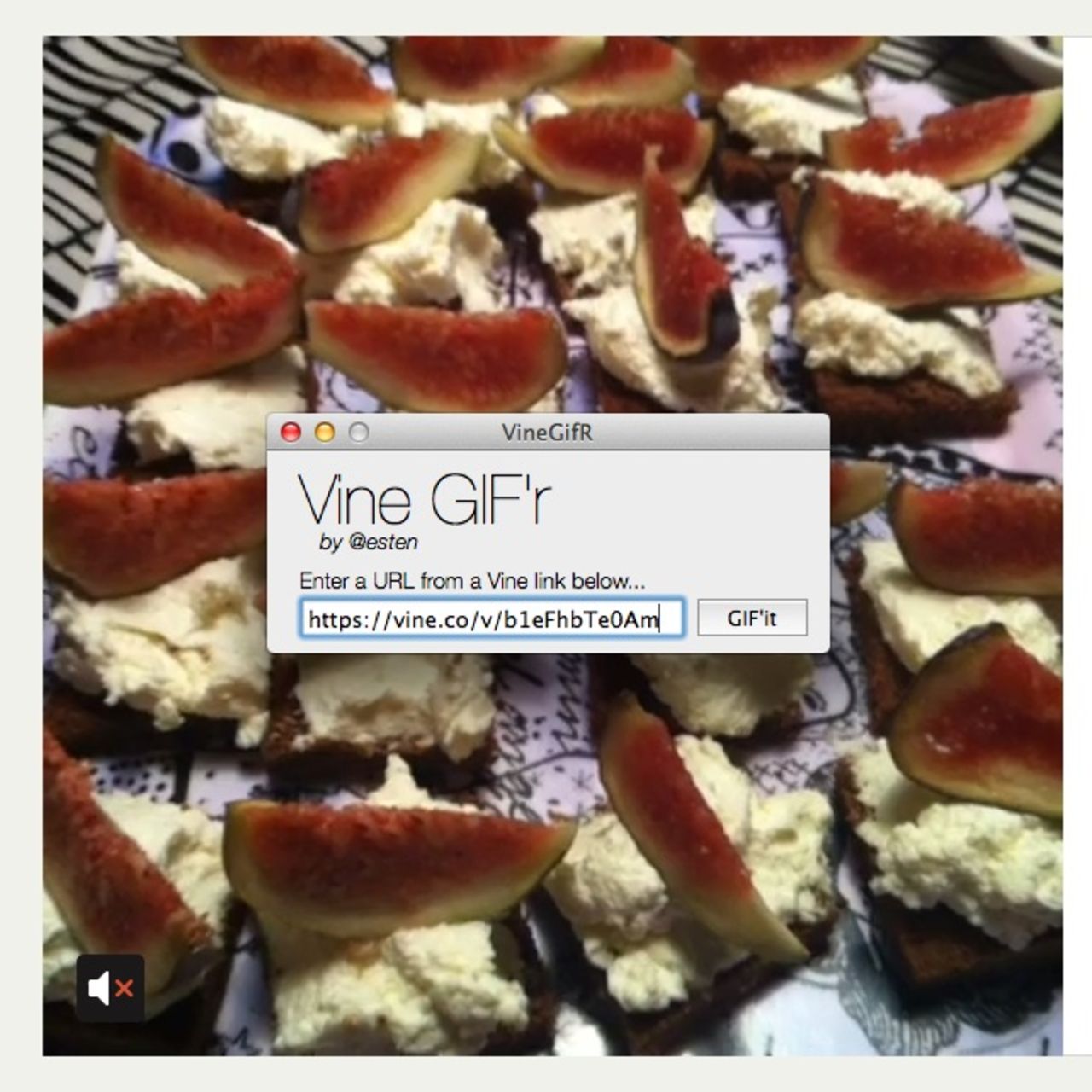 Gör animerad GIF av din Vine-film med VineGifR