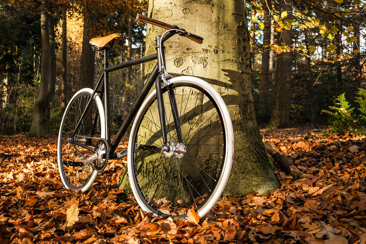 Fixie från Holland
