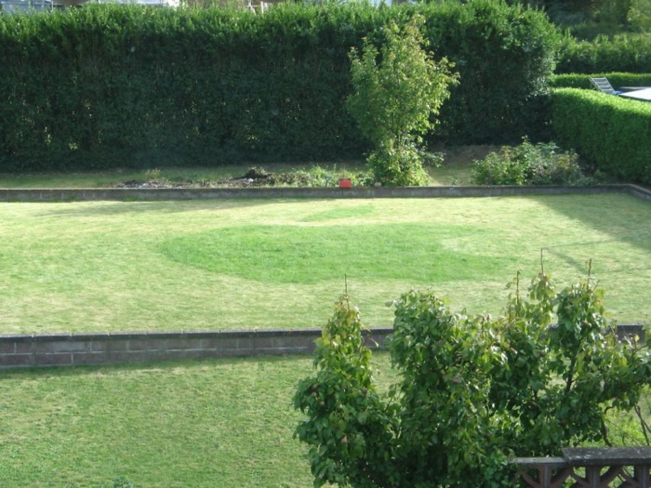 Ett äpple i gräsmattan