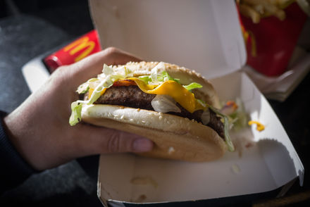 Tjock om Donken | Tjock Hamburgare med klyftpotatis och colslow Bild från Memphis