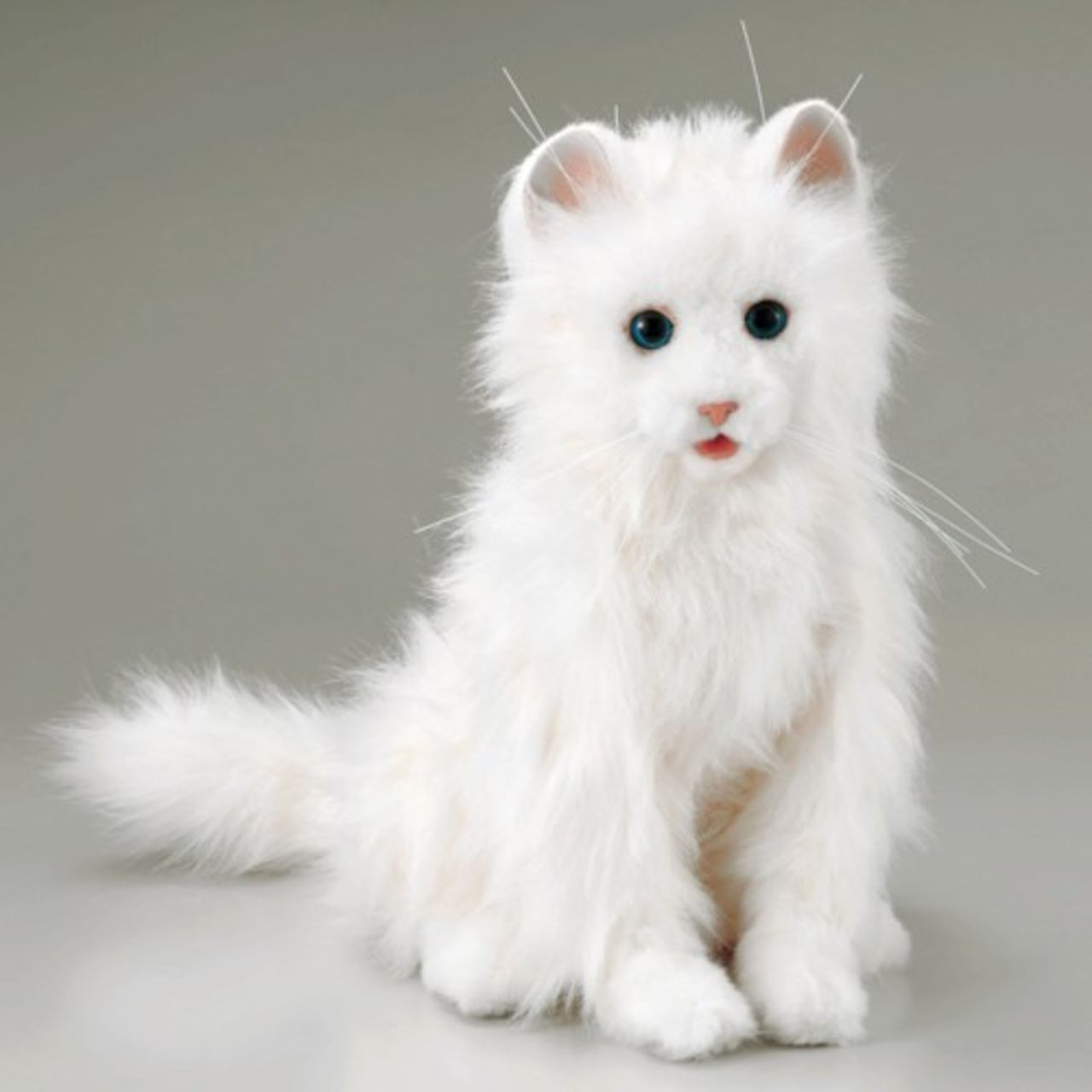 Video på Segatoys Dreamcat