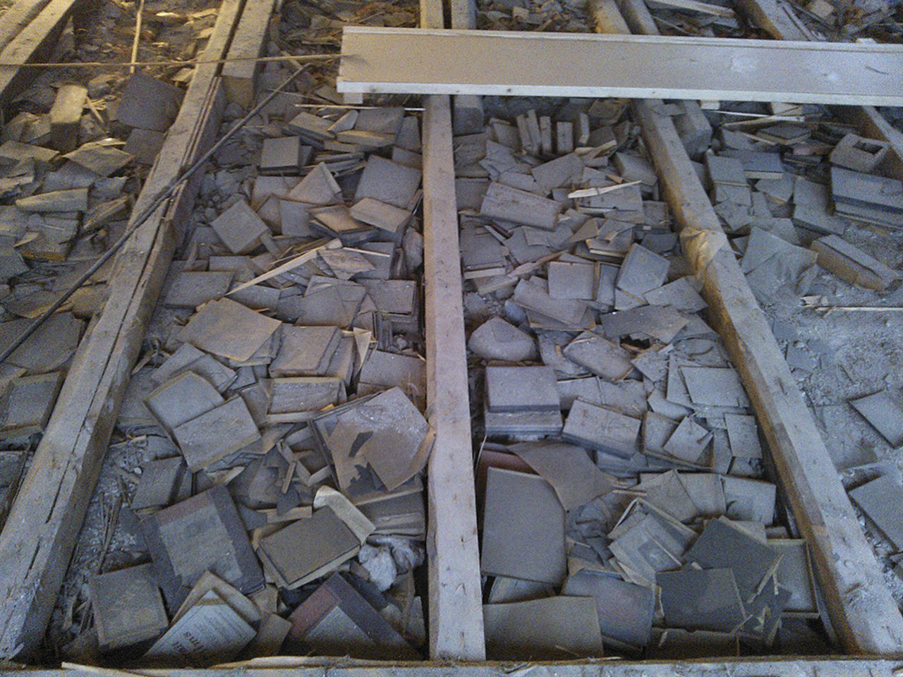 Fotoskatt hittad i Skåne