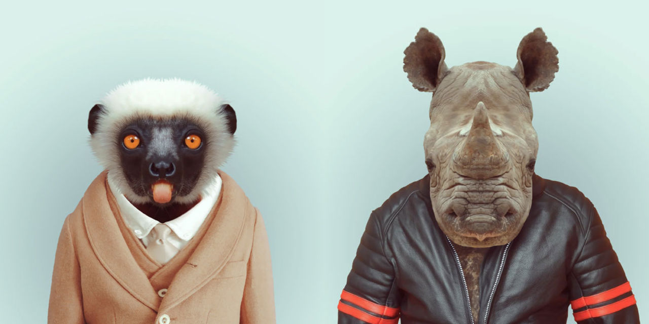 Djur i kläder på väggen