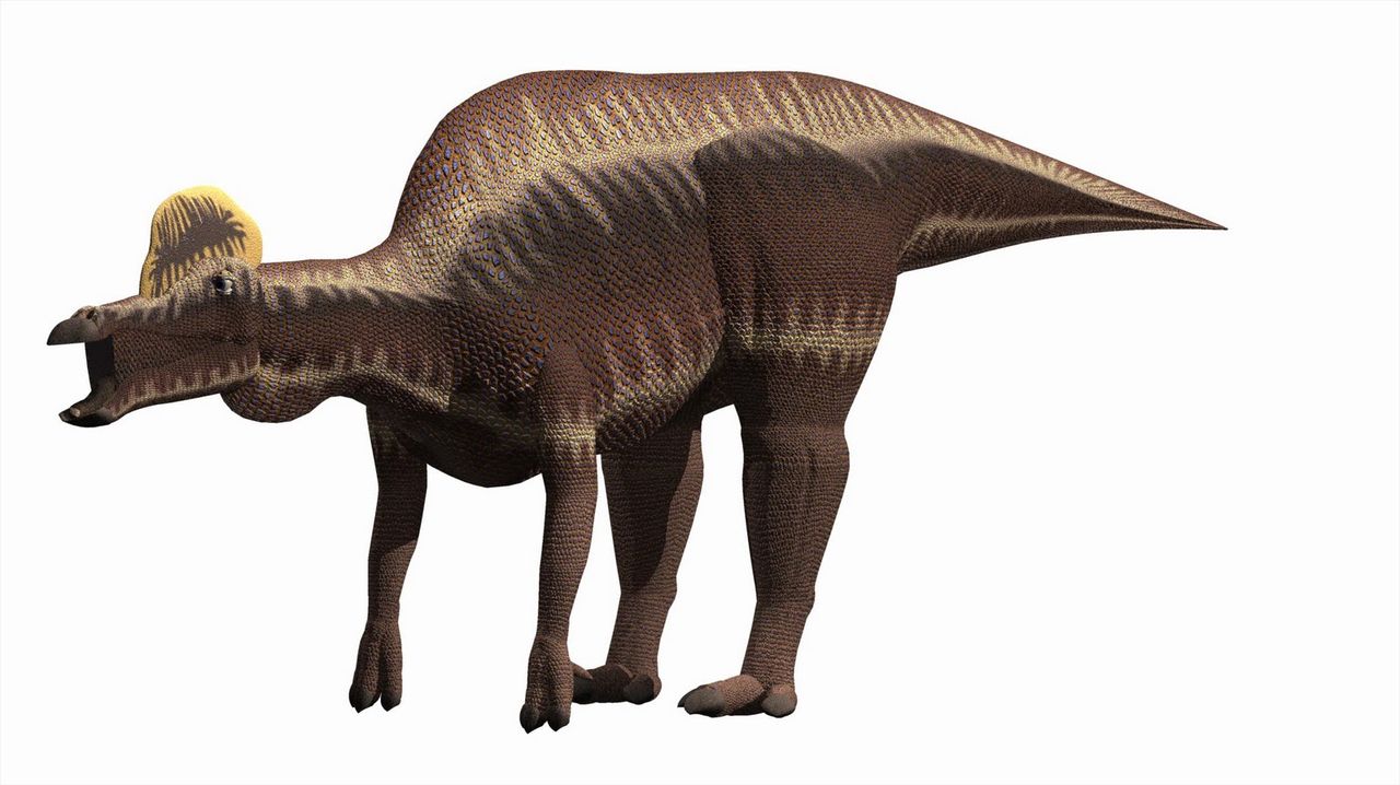 Forskare ska ta reda på vilken färg dinosaur hade