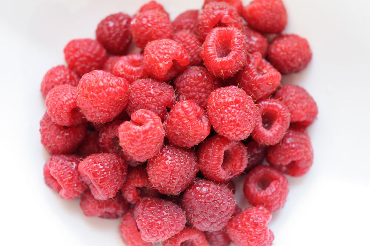 Nya operatören Hallon ser dagens ljus