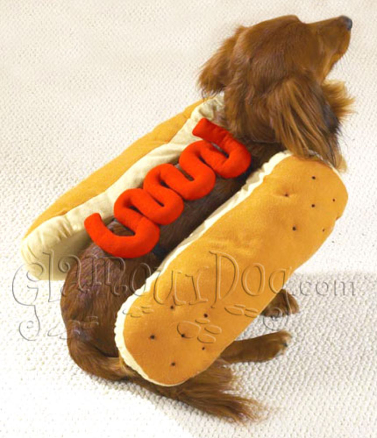Har du skaffat hund för att förnedra den?