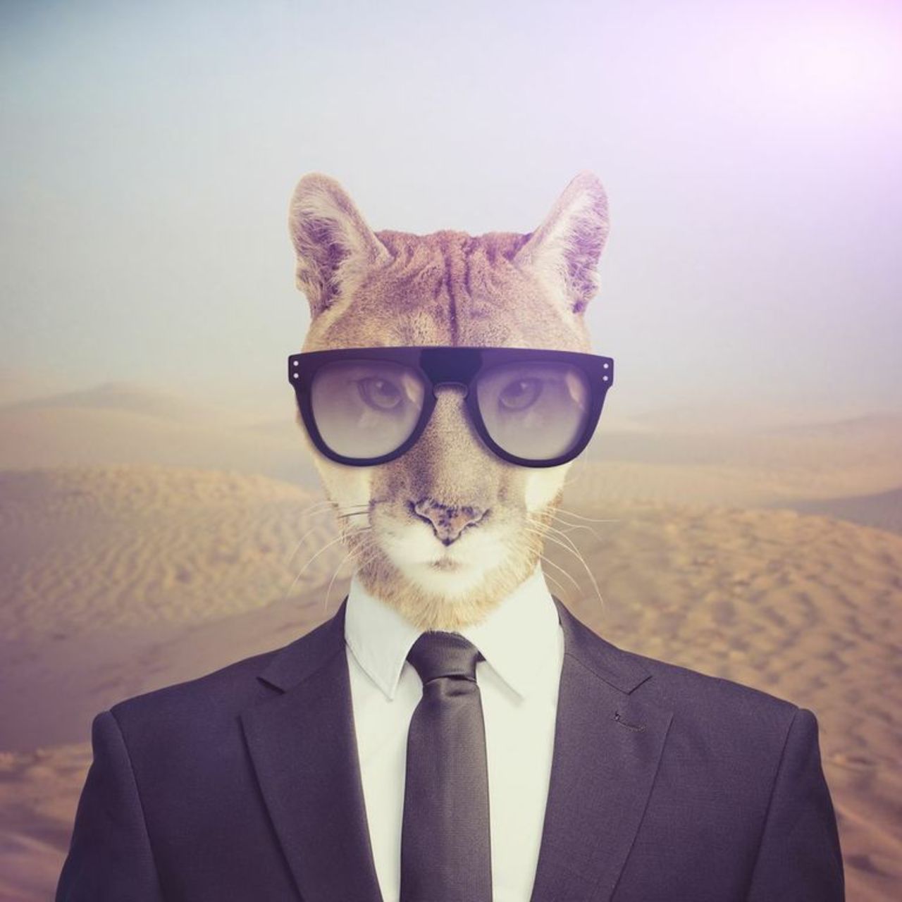 Hyde´s + La Belle + Ligia Dias