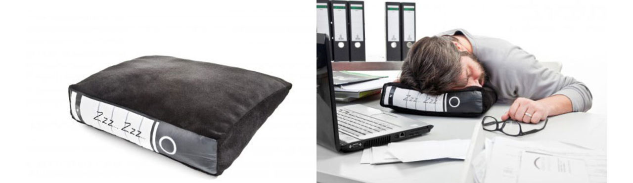 Kudde som ser ut som en pärm