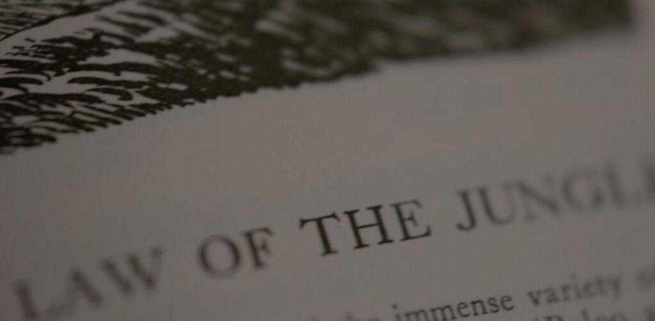 Ny Destiny-trailer i morgon